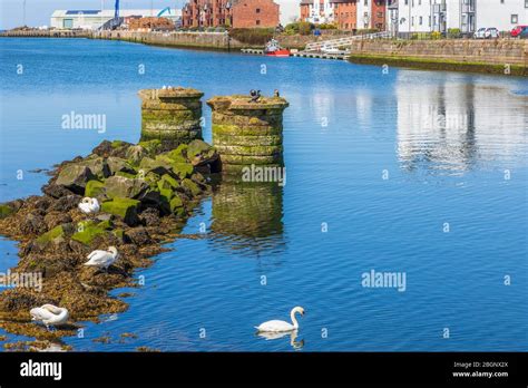 River Ayr at Ayr Harbour and view to the Firth of Clyde, Ayr, Ayrshire ...