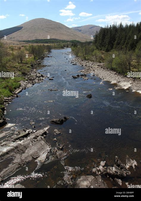 River at Bridge of Orchy Scotland May 2013 Stock Photo - Alamy