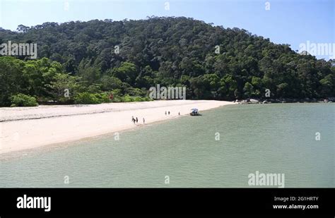 Penang national park Stock Videos & Footage - HD and 4K Video Clips - Alamy