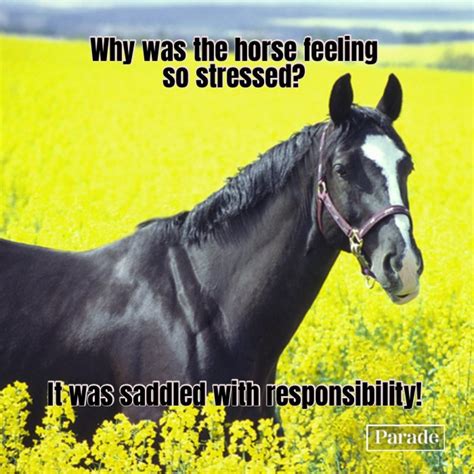 35 Horse Puns To Make You Whinny With Laughter - Parade