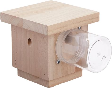 Hanging Carpenter Bee Trap: Amazon.ca: Patio, Lawn & Garden