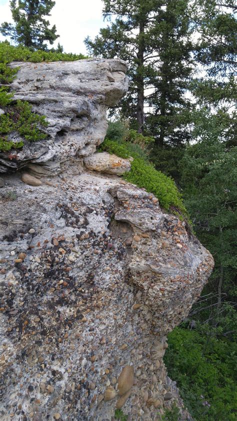 Graded bedding in Miocene conglomerate. [Cypress Hills Formation] : geology