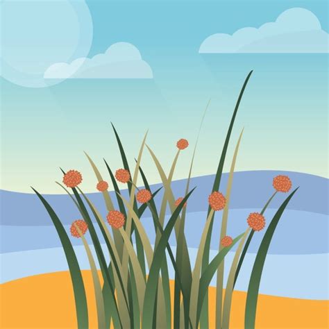 Coastal Plants by Northern Agricultural Catchments Council