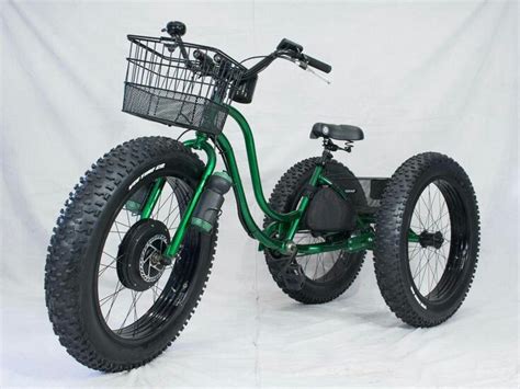 Electric Tricycle Bike with Basket - Perfect for Commuting and Carrying ...