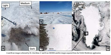 TC - Black carbon concentrations and modeled smoke deposition fluxes to the bare-ice dark zone ...