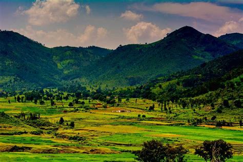 Araku Valley Tourism (2024) - India > Top Places, Travel Guide | Holidify