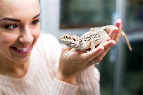 Pets For Kids: The Top 13 Low-Maintenance Animals | PetsPyjamas