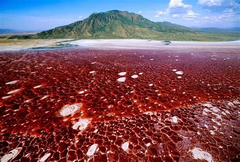 Visit Lake Natron in Tanzania