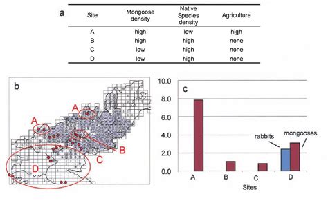 Figure 6 from Negative impact of an invasive small Indian mongoose Herpestes javanicus on native ...