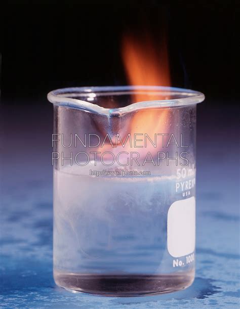 science chemistry exothermic reaction potassium water | Fundamental Photographs - The Art of Science