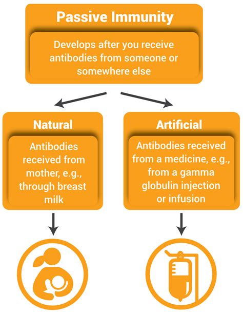 Passive Immunity | NIH