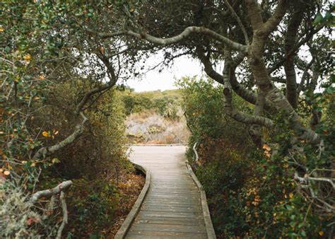 El-Moro-Elfin-Forest-California | California Wanderland