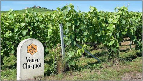 Veuve Clicquot | History of the Legendary Winemaker