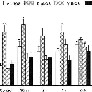 In situ hybridization with neuronal constitutive nitric oxide synthases ...