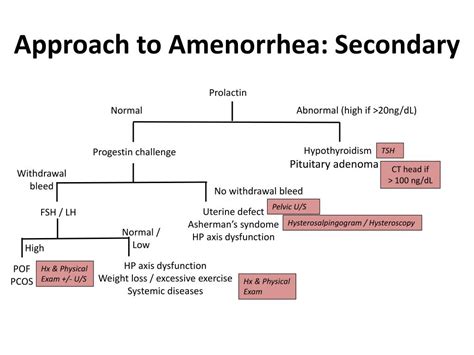 PPT - Amenorrhea PowerPoint Presentation, free download - ID:5472683