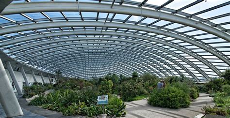 A set of images from within the Great Glasshouse at the National Botanic Garden of Wales ...