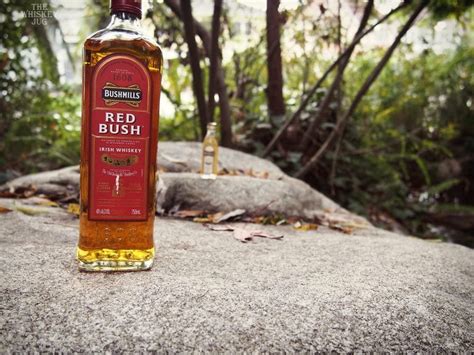 Bushmill's Red Bush Review - The Whiskey Jug