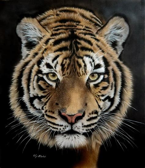 Concentration – silk painted tiger portrait Painting by Olga Belova ...