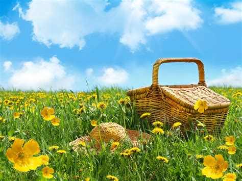 Picnic Basket HD Wallpapers and Backgrounds