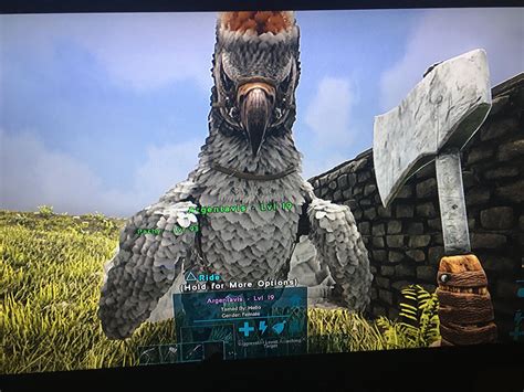 My first argy ever!!!! : r/ARK