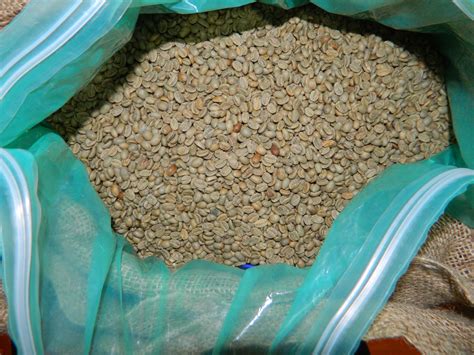 Papua New Guinea Organic PSC Raw Coffee Beans | Home Roast Coffee