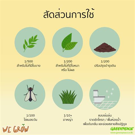 วิธีการทำปุ๋ยอินทรีย์ต่างๆ - Greenpeace Thailand | ปุ๋ยหมัก, การปลูกพืช, ปลูกผัก