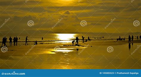 Golden Orange Sunset stock image. Image of nature, bliss - 105085523