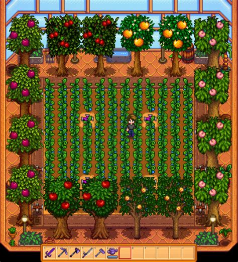 Stardew Valley Best Greenhouse Layout