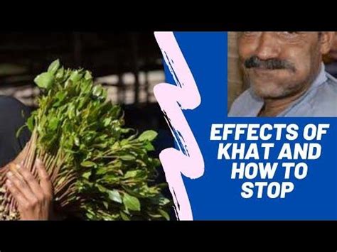 Effects of Miraa(khat) on s3x ||How to know you are addicted - YouTube