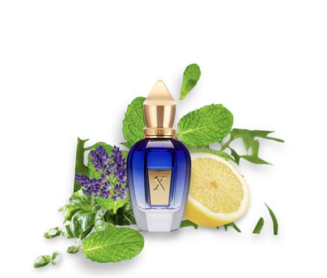 Torino 21 Eau de Parfum - Fragrance Galore