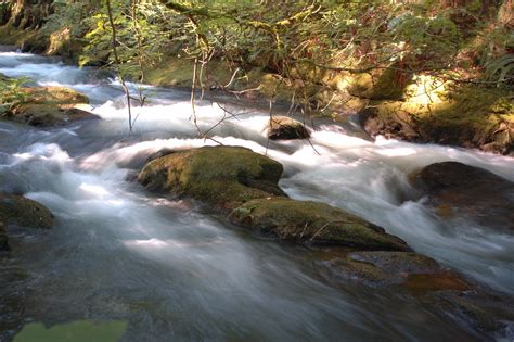 Life On Water: Whatcom Falls Park walk