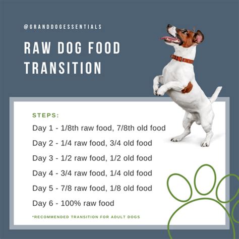 How to Transition Your Dog to a Raw Food Diet | Quality Raw Food in Alberta | Grand Dog Essentials