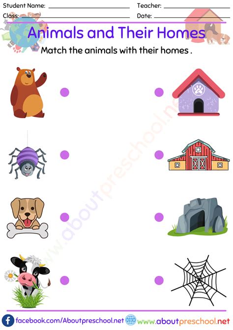 match animals with their homes worksheet Archives - About Preschool