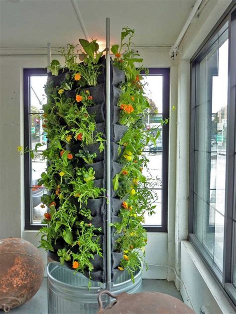 Florafelt Aquaponic Vertical Vegetable Garden – Plants On Walls