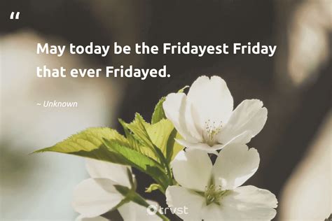 Happy Friday Funny Quotes