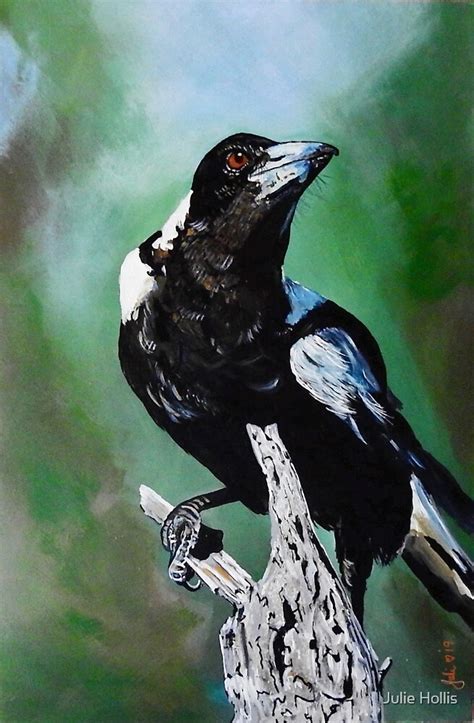 "Proud Magpie - Australian magpie Standing" by Julie Hollis | Redbubble