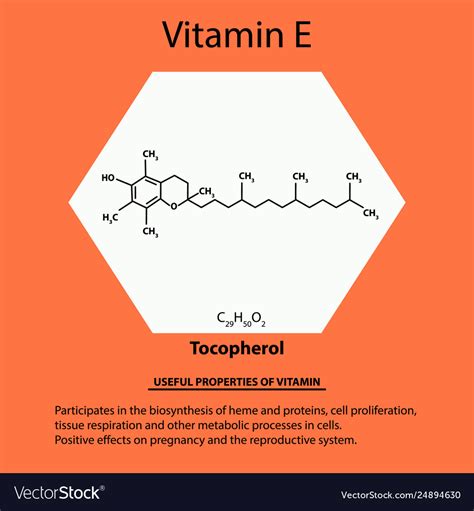 Vitamin e tocopherol molecular chemical formula Vector Image