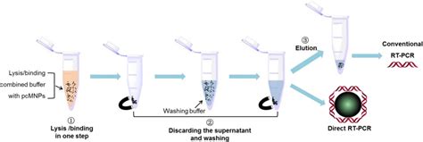 A simple magnetic nanoparticles-based viral RNA extraction method for efficient detection of ...