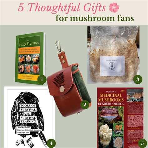 Gift Guide for Herbalists - Wild Rose College of Herbal Medicine