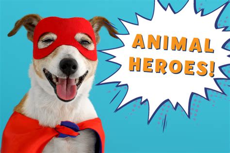 Animal Heroes: These 6 Super Animals Saved the Day! - Children's Museum of Atlanta