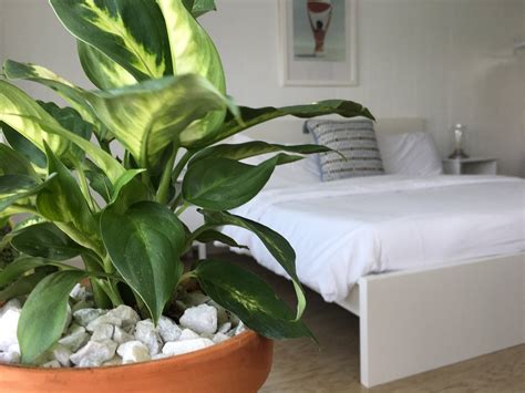 Haven Montauk Rooms: Pictures & Reviews - Tripadvisor