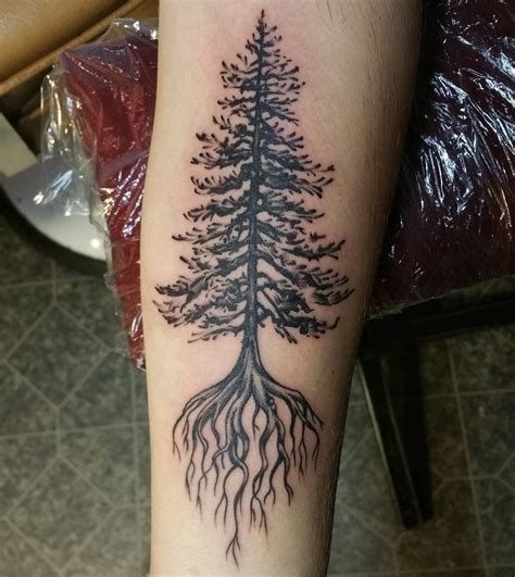 30+ Simple and Easy Pine Tree Tattoo Designs for Everyone - Free Tattoo ...