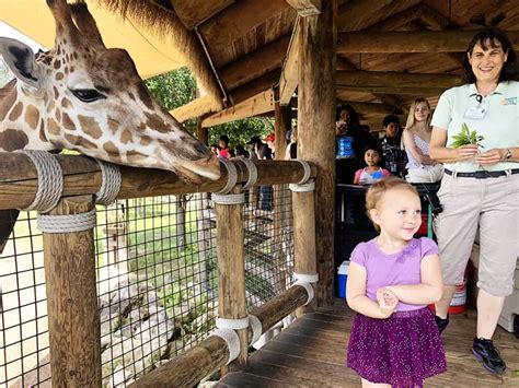 The Jacksonville Zoo: 7 Things we Love - Jacksonville Beach Moms