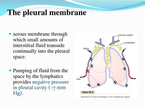 PPT - Chapter: 38 Pulmonary Circulation, Pulmonary Edema, Pleural Fluid ...