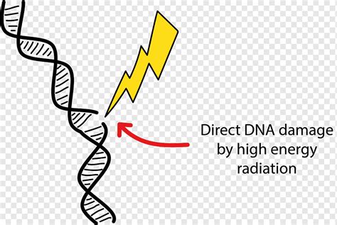 DNA 손상 방사선 요법 세포, 에너지, 본문, 손, 심벌 마크 png | PNGWing