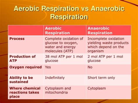 11 Differences Between Aerobic And Anaerobic Respiration Anaerobic | Images and Photos finder