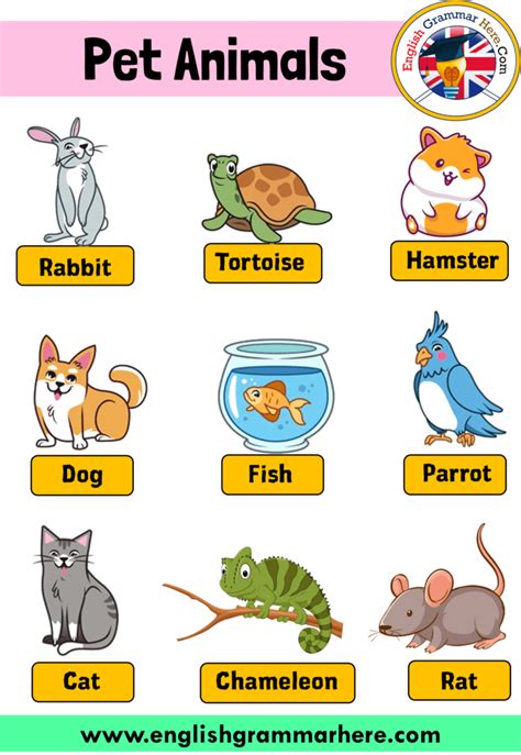 English Pet Animals Names, Definition and Example Sentences Pet Animals Names In this lesson we ...