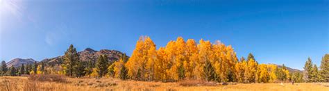 Hope Valley Fall Colors 2 | Wayne Hsieh | Flickr