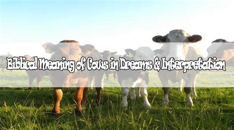 Biblical Meaning of Cows in Dreams & Interpretation | Dream interpretation, Biblical, Interpretation