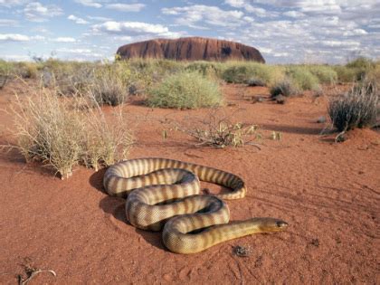 Temperate Desert - Biomes of the World